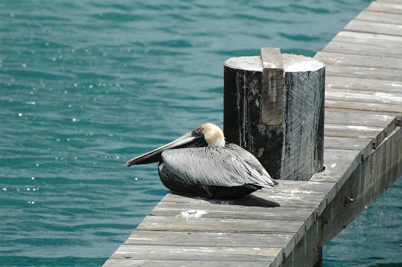 curacao 006.jpg